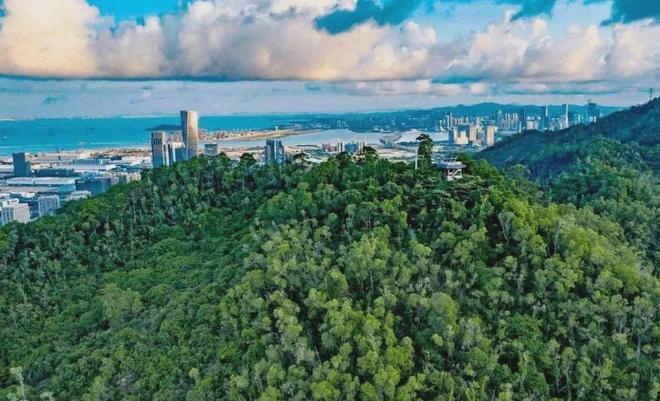 琅玥湾家园售楼处2025官方网站-琅玥湾家园楼盘详情-深圳房天下(图5)