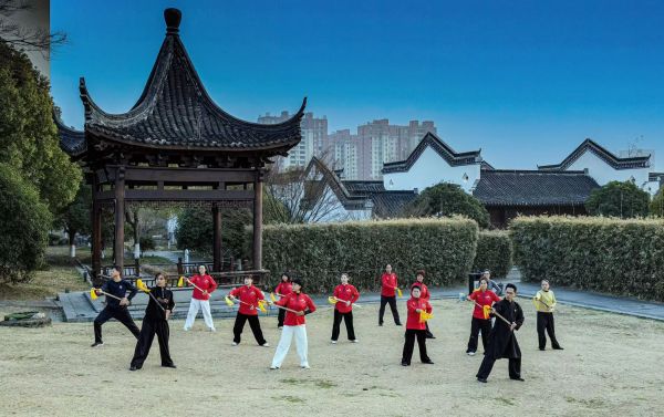 全国行云剑术推广班(第五期)圆满结业·蛇年传承启新程(图2)
