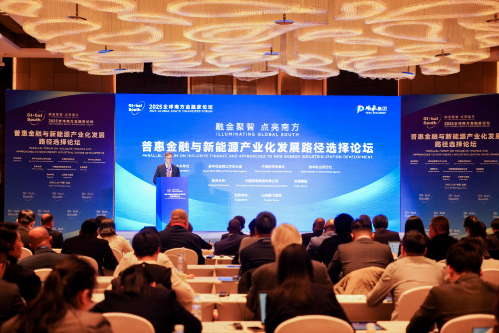 普惠金融为笔 绘就新能源产业化蓝图——普惠金融与新能源产业化发展路径选择论坛在京举办(图2)