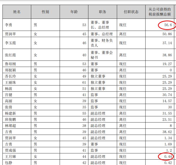 跨境通2024年亏损479亿元：上年亏969万 任职9天董秘王月娣薪酬044万