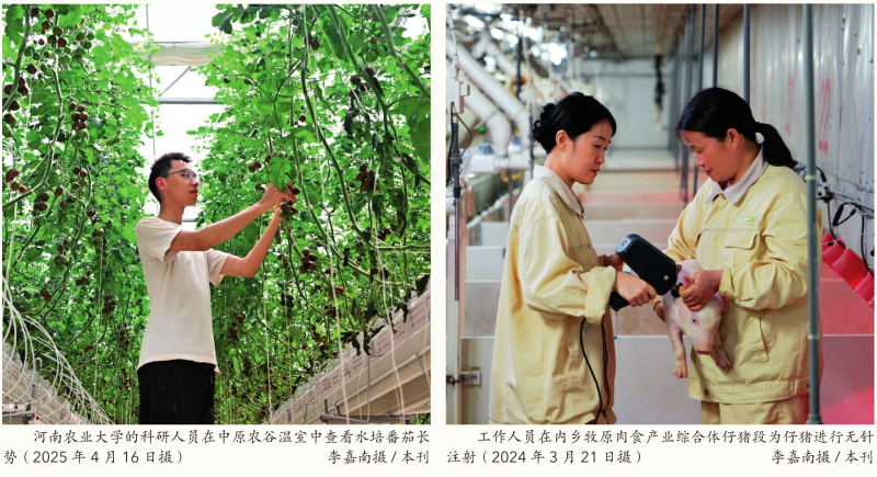 瞭望·治国理政纪事｜牢牢抓住粮食这个核心竞争力(图5)