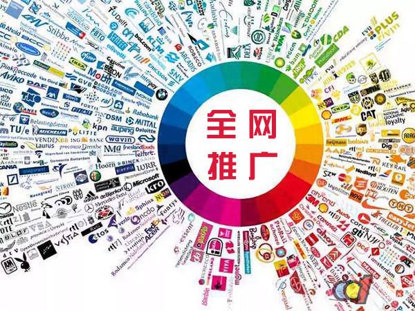 地方门户网站建设方案：打造高效SEO推广的门户新篇章(图1)