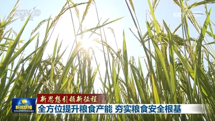 【新思想引领新征程】全方位提升粮食产能 夯实粮食安全根基(图3)