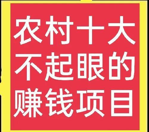 什么项目自动赚钱的多啊(图1)